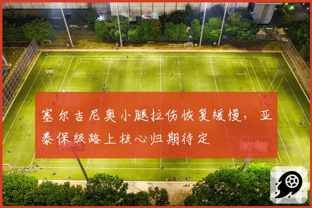 塞尔吉尼奥小腿拉伤恢复缓慢,亚泰保级路上核心归期待定