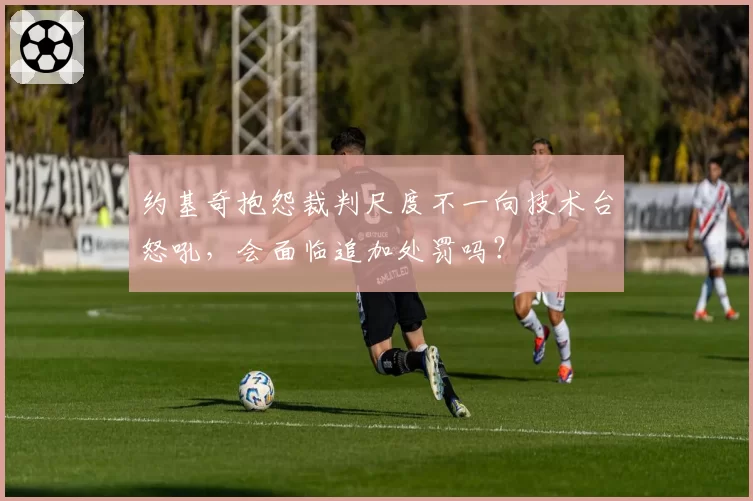 约基奇抱怨裁判尺度不一向技术台怒吼，会面临追加处罚吗？